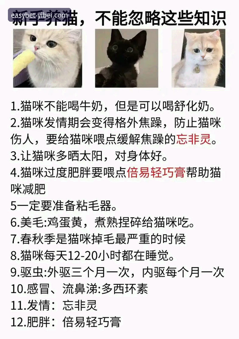 易倍体育平台靠谱吗？新手一站式体验与深度评测报告